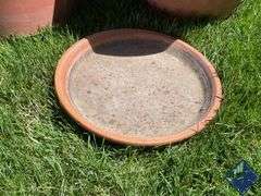 Plastic Pots with Terra Cotta Saucer