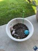 Planters with Yard Decor