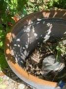 20” Flower Pot