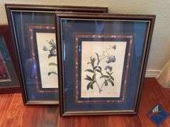 Assortment of Nature Artwork