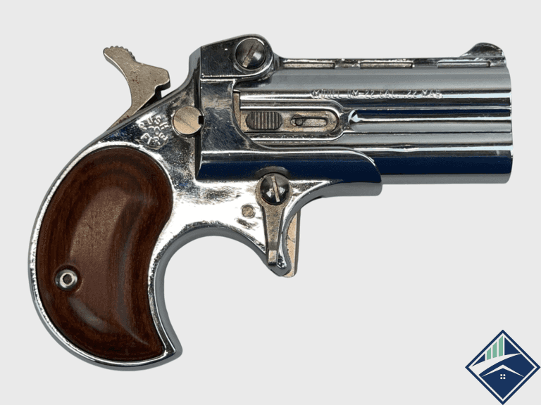 Davis Industries  DM-22  .22 Mag.