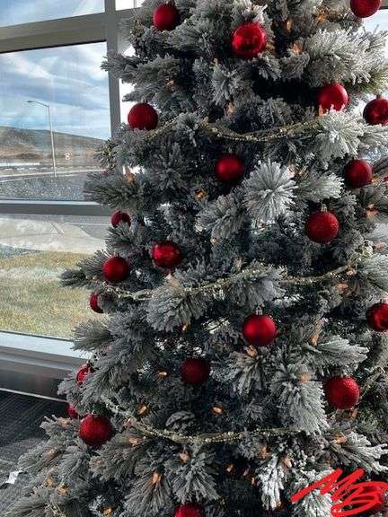 Winterberry Wonderland -Donated by Yellowstone Regional Airport
