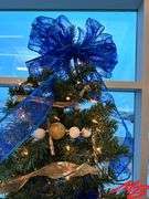 Spirit of Blue and Gold