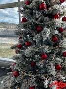 Winterberry Wonderland -Donated by Yellowstone Regional Airport