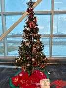 Christmas in the Forest -Donated by Fat Racks BBQ