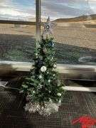 Shining A Light - Donate by Soroptimist International of Cody