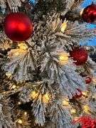Winterberry Wonderland -Donated by Yellowstone Regional Airport