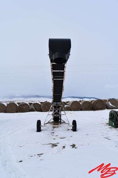 Chantland SP30 Belt Conveyor 30'x 12.5" Belt