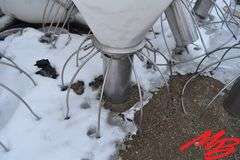 Feed & Water Pig Feeders, Assorted Lot