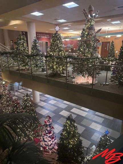 Festival of Trees Cody 2025