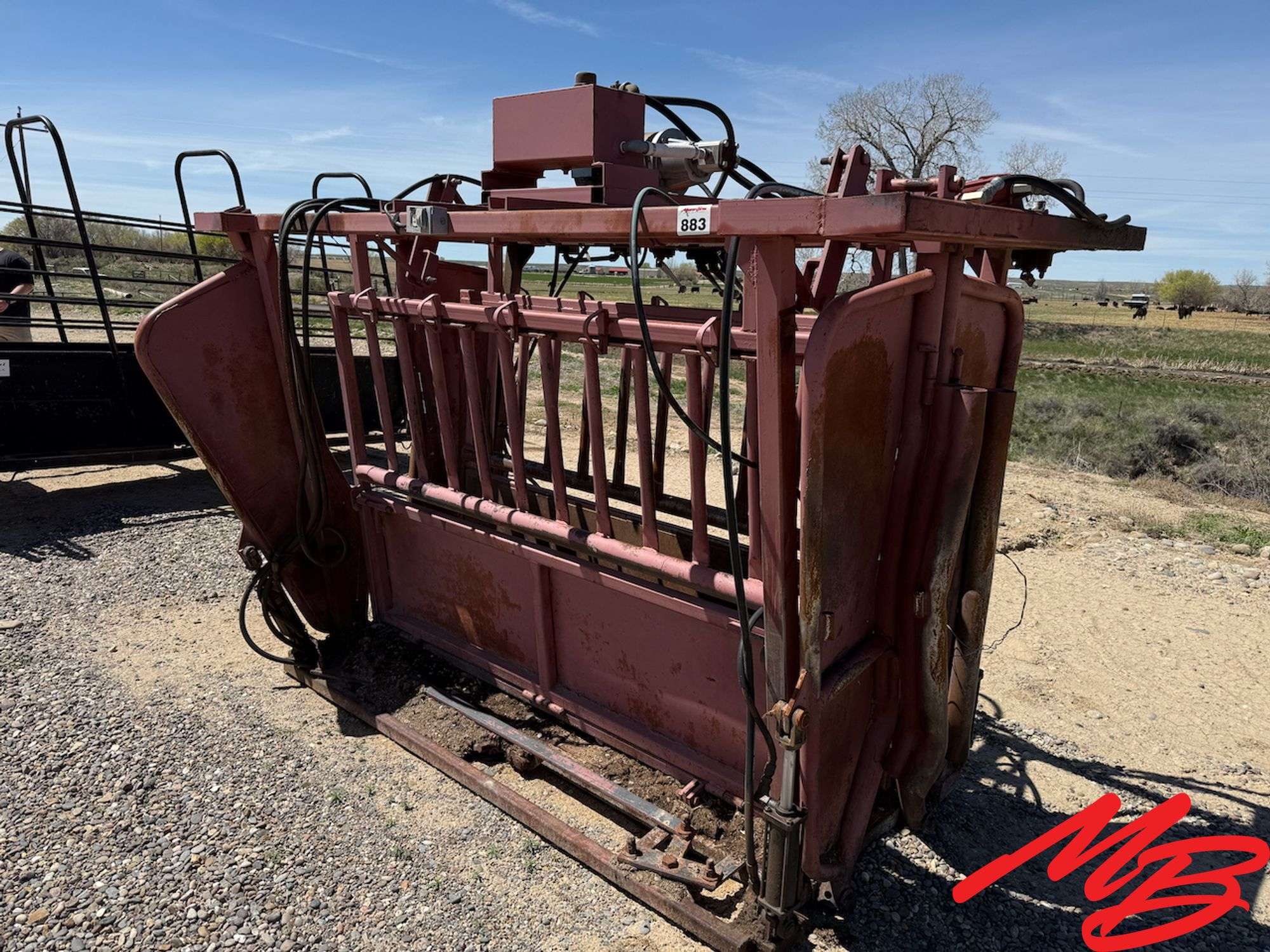 Hydraulic Squeeze Chute w/ Head Catch