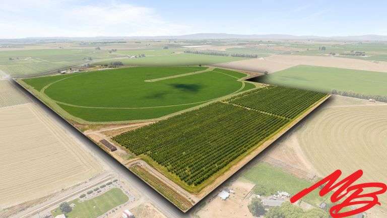 312± Acre Columbia Basin (Franklin County) Farm Ground Auction
