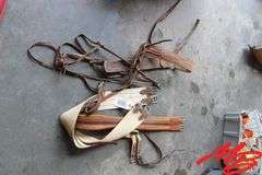 Horse Tack