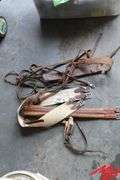 Horse Tack