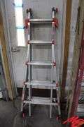 Little Giant Velocity Step Ladder