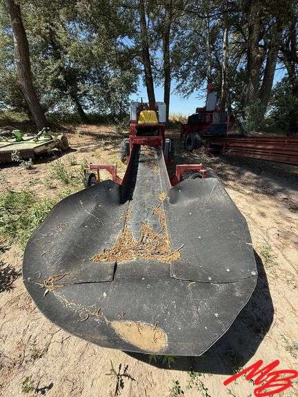 Spudnik Potato Hog, 24" Belt, 230/460 volt, 3-ph
