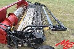 2009  CaseIH  2016 16M21 2DF Pickup Header  16' CaseIH Rake Up pickup