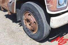 1981  International  Flatbed Truck