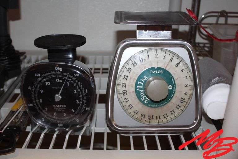 Electronic Scale, Assorted Scales, & Thermometers