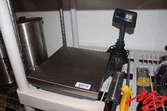Electronic Scale, Assorted Scales, & Thermometers