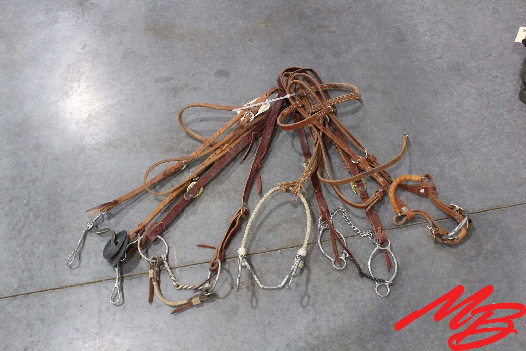 (3) Bridles Without Reins