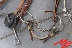 (3) Bridles Without Reins
