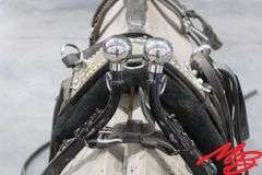 Leather Single Draft Driving Harness w/Lines