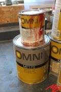 Asst Automotive Paint