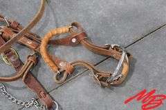 (3) Bridles Without Reins