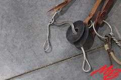 (3) Bridles Without Reins