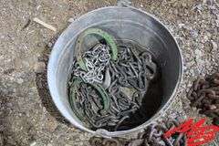 Asst Chains