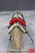 Large Pony Single Driving Harness w/Hames