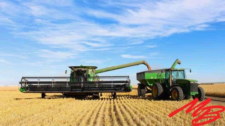 Musser's Idaho Fall Consignment