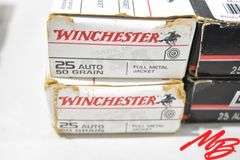 Asst 25 Auto Ammo, 50gr FMJ (Aprox 180rds)
