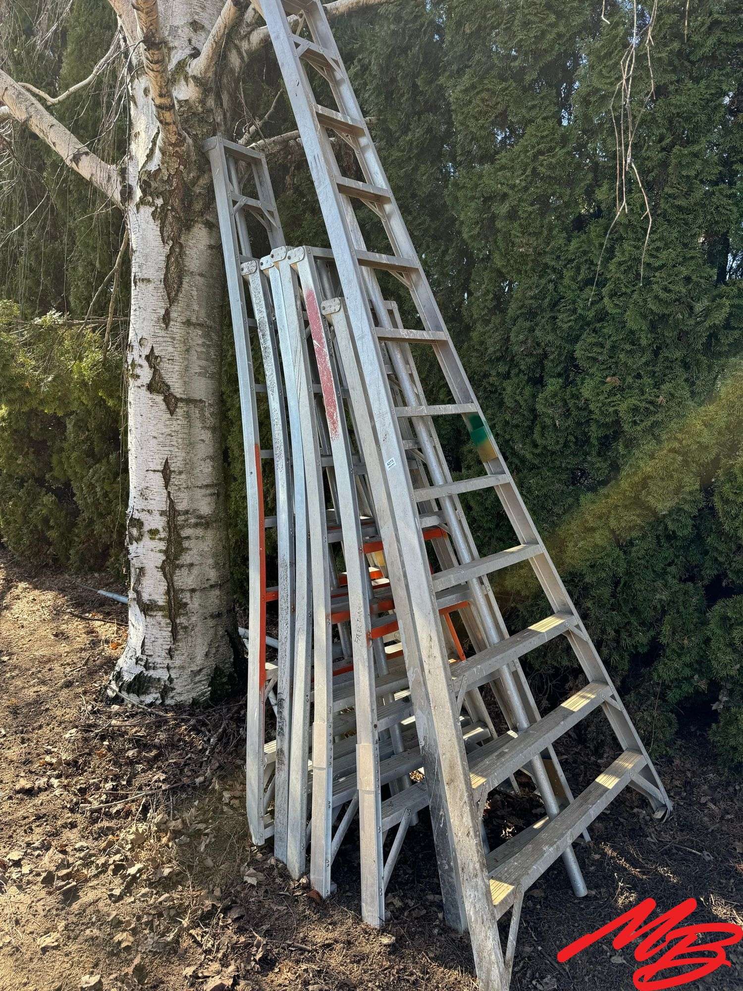 7 Orchard Ladders