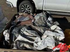 Assortment of Tarps