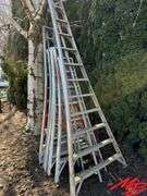 7 Orchard Ladders