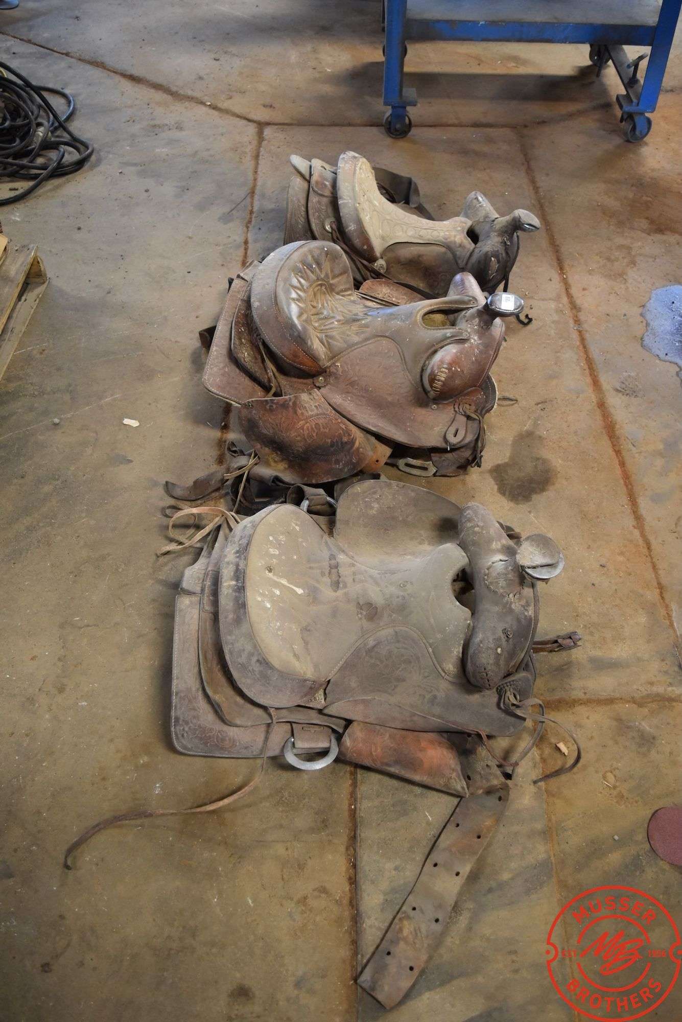 (3) Saddles