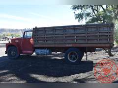 1975  International  Loadstar 1600 Truck (non-runner)