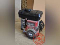 Briggs & S Gas Engine