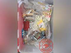 Assorted Gardening Tools