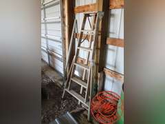 Werner Wooden 6' Step Ladder