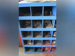 Fastenal Bolt Bin w/ assorted Plastic Bolt Bins