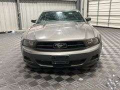 2011 Ford Mustang  V6