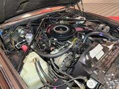 1984  Cadillac  Eldorado Bairritz