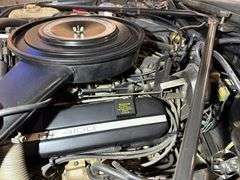 1984  Cadillac  Eldorado Bairritz