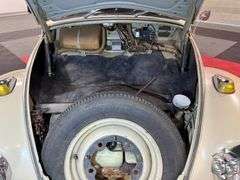 1967  Volkswagen   Beetle