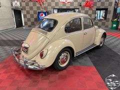 1967  Volkswagen   Beetle