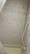 Forest River  Super light   FS2300