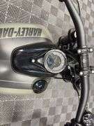2021  Harley-Davidson  FXFBS Fat Bob